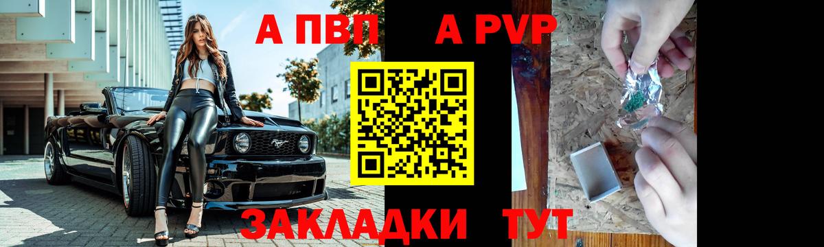 Торжок  Alfa_PVP СК КРИС  Alfa_PVP  Alfa_PVP СК  где найти   Вход с VPN 